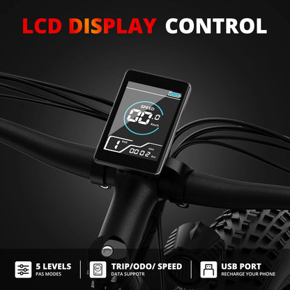 AMYET Electric Bike EB26